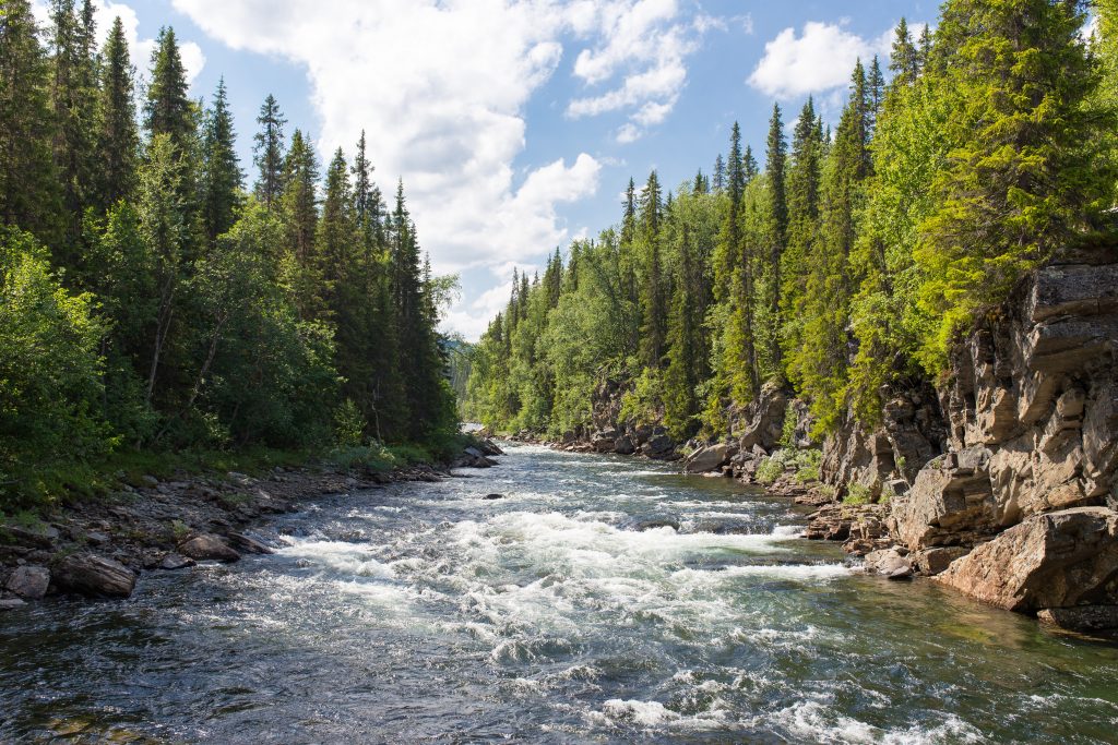 World Rivers Day: Momentum PLTMH sebagai Alternatif Baru