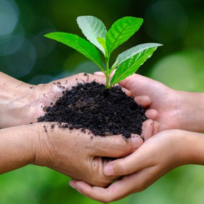 Hari Lingkungan hidup Sedunia : Pentingnya Environmental Awareness (Kesadaran Lingkungan) di Masyarakat