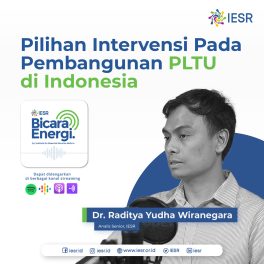 Pilihan Intervensi pada Pembangunan PLTU di Indonesia